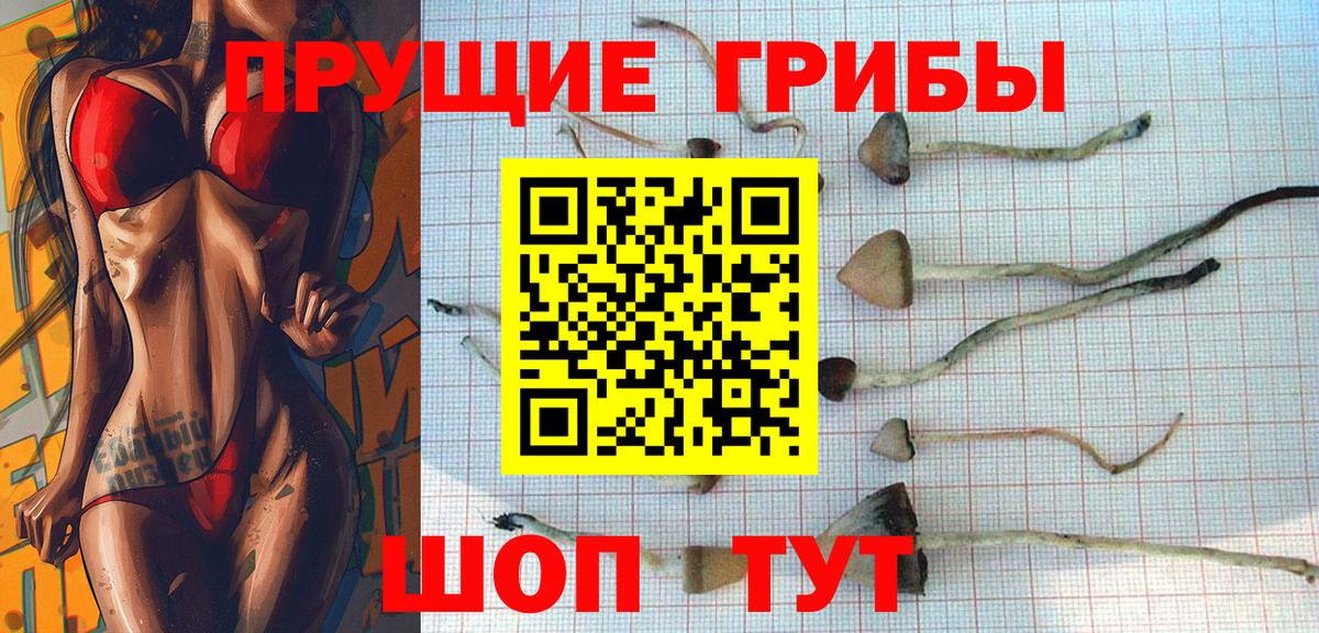 Псилоцибиновые грибы мицелий  Галлюциногенные грибы прущие грибы  Вход с VPN  Борзя 